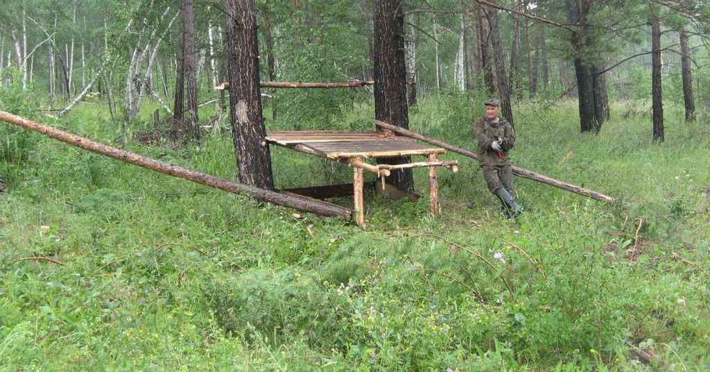 Вяжут веники, ремонтируют кормушки