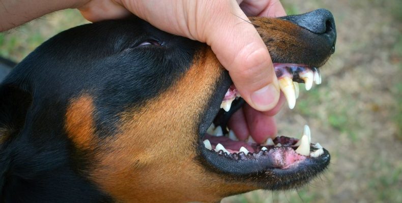 Поражает нервную систему