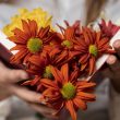 Примите самые искренние поздравления с Днём учителя!