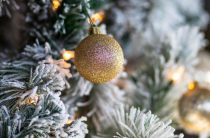 Каким ты был, 2025-й?