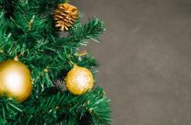 Каким ты был, 2025-й?