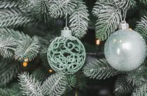 Каким ты был, 2025-й?