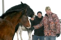 Лошадиная сила