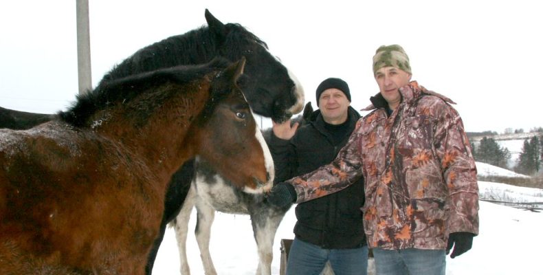 Лошадиная сила