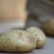 Картофель вырос