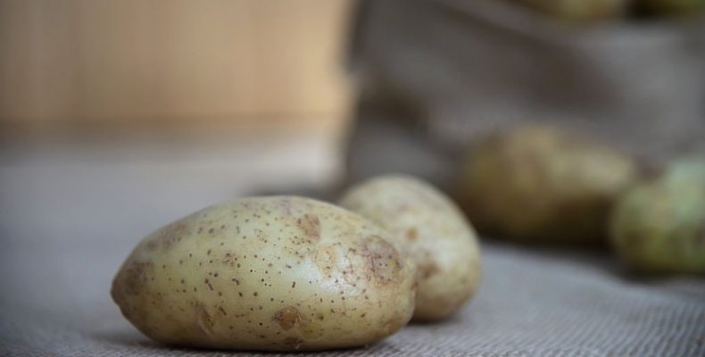 Картофель вырос