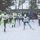 Бамбуковка позвала!