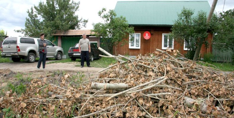 Спилили и не вывозят