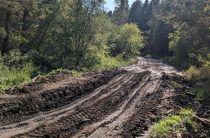 Отремонтировать дорогу на полигон