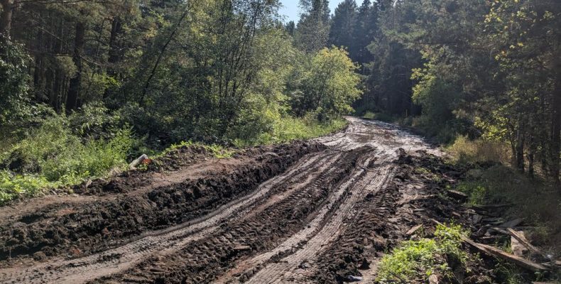 Отремонтировать дорогу на полигон