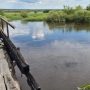 Уровень колеблется