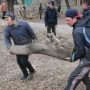 Зелёная архитектура парка учителей