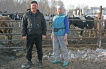 Для фермера главное – не сдаваться