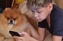 Так легко потеряться в сети…
