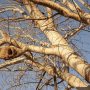 Отремонтировали дороги на Закамышловском кладбище