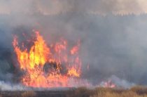 Жаркие выходные