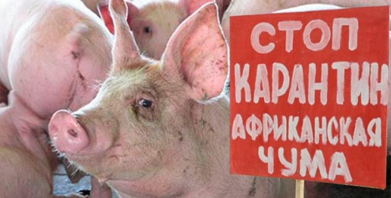 Когда ветеринары плачут