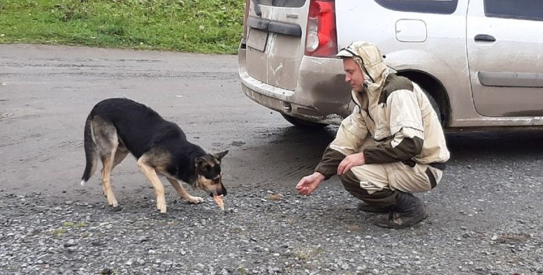 Терапия души, или Тест на человечность для всех нас