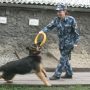 Напарницы