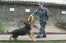 Напарницы
