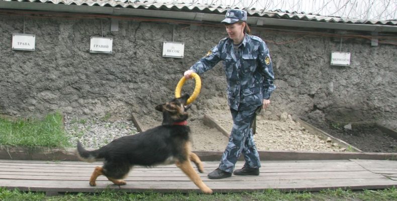 Напарницы