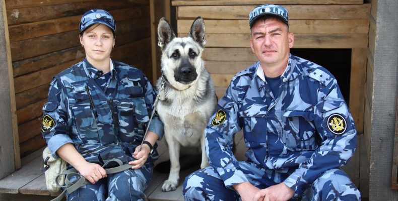 Защитить. Задержать. Найти и обезвредить