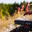 На шашлыки – можно!