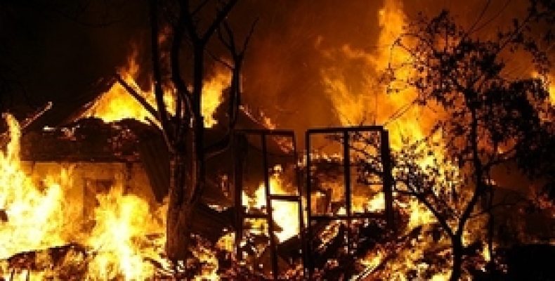 В пожаре погиб человек