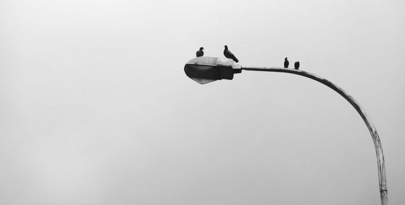 Невыполненные заявки