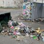 Сгорел мусорный контейнер