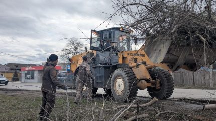 А вы заметили, что в Камышлове становится чище?