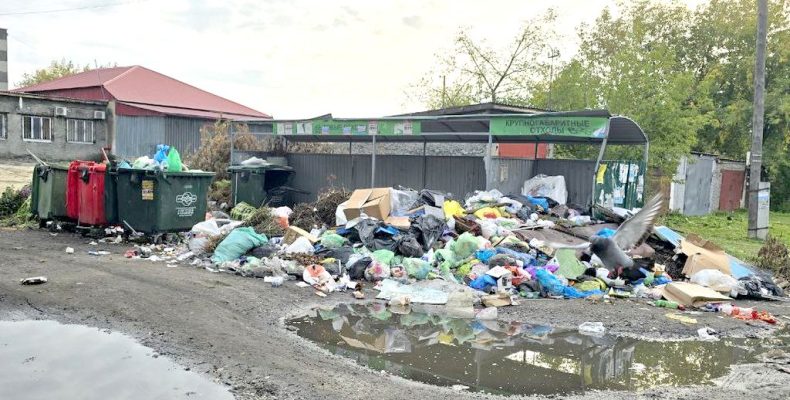 Мусором завалены