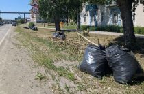 Камышлов становится чище