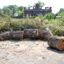 В Камышлове построят турцентр