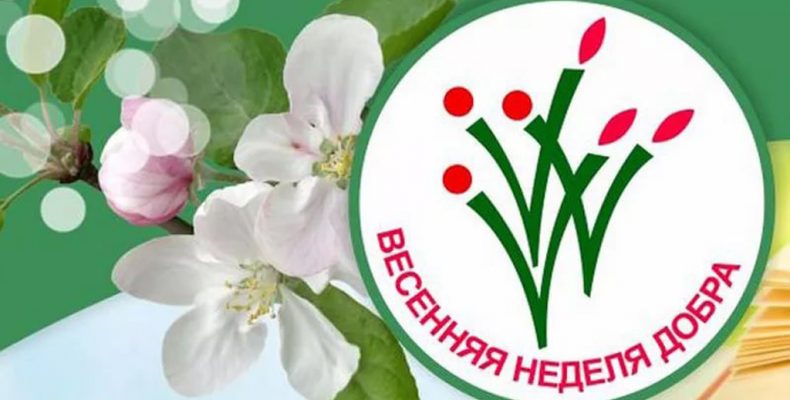 Посетили многодетные семьи