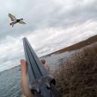 Скоро открытие охоты