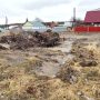 Скоро будет аллея спорта