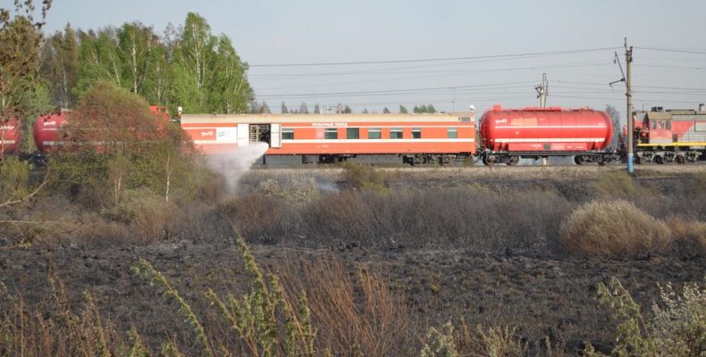 Пока красный петух не клюнет