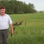 Потрава