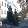 Ограду убрали, но обещают новую