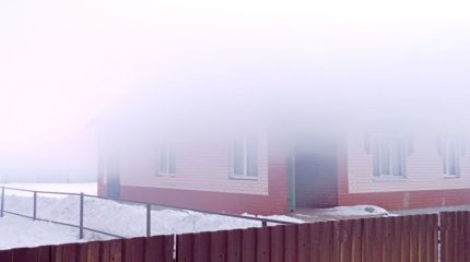 Кокшарова в дыму