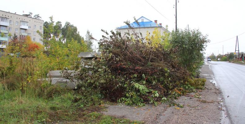 Разочаровательные площадки