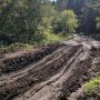 Доколе будут давить дорогу в Фадюшиной?