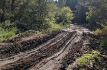 Доколе будут давить дорогу в Фадюшиной?