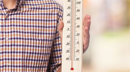 Эпопея на Ленинградской