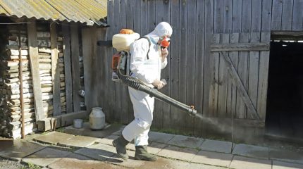 Санитарный десант