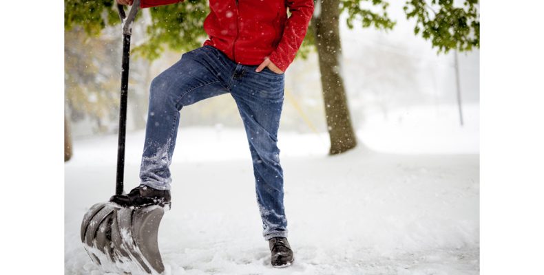 Январь – к весне поворот