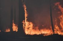 Пожары тушат 4400 человек